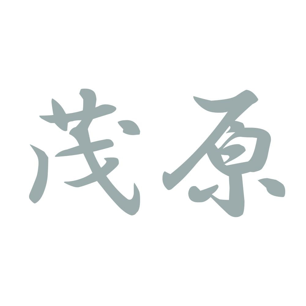 茂原 10