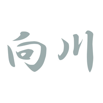 向川 10