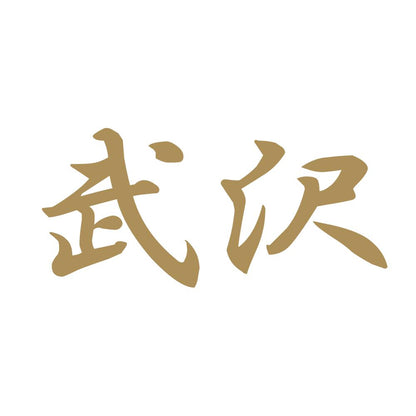 武沢 9