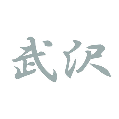 武沢 10