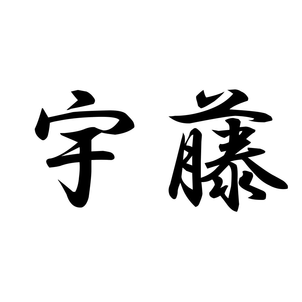 宇藤