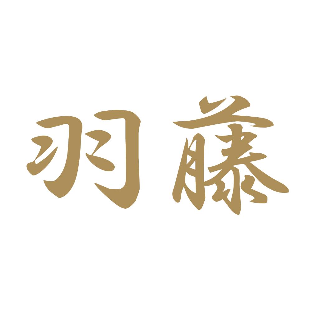 羽藤 9