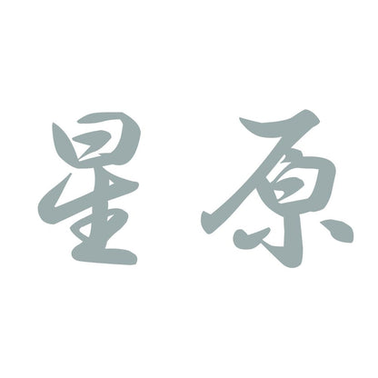星原 10