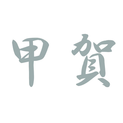 甲賀 10