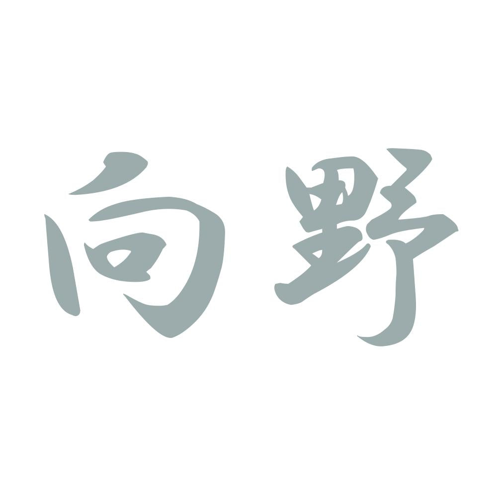 向野 10