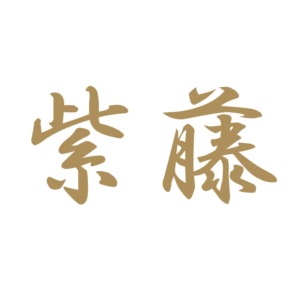 紫藤 9
