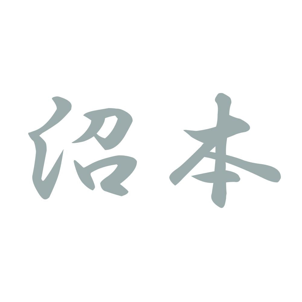 沼本 10