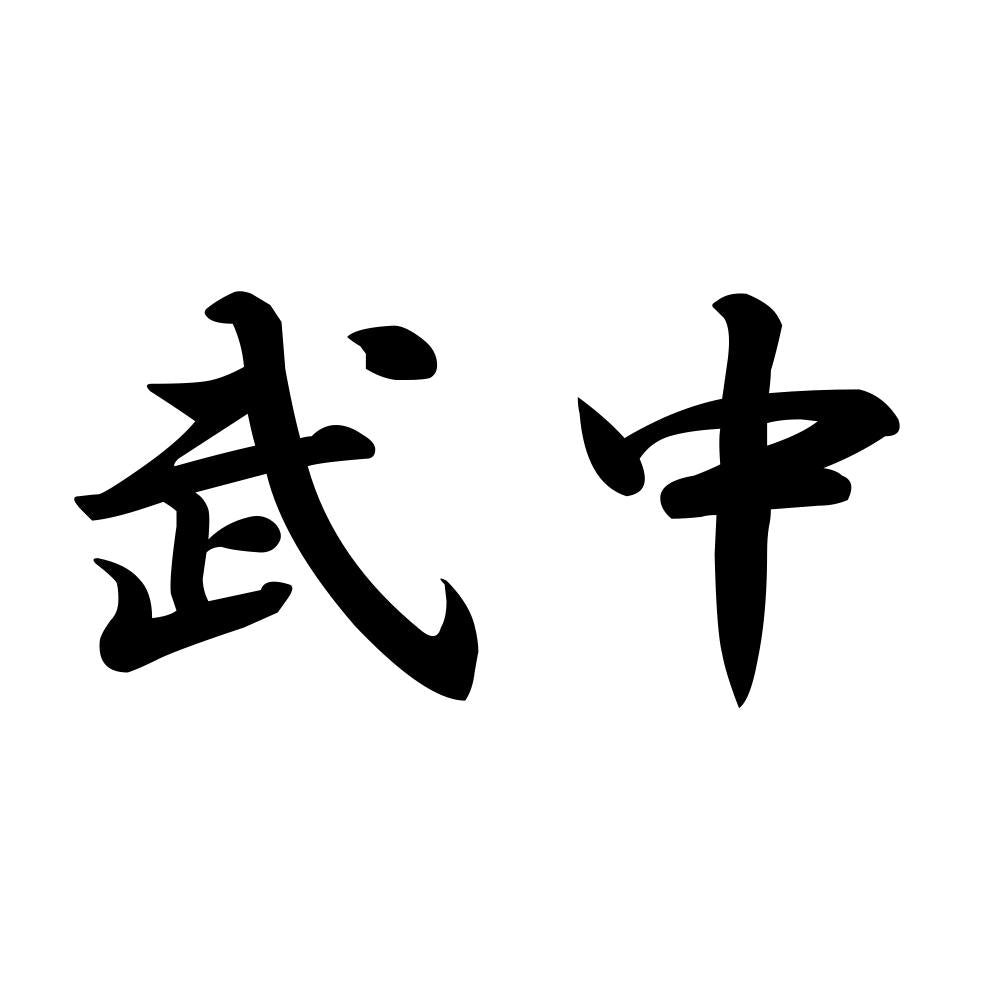武中