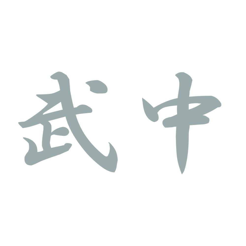 武中 10