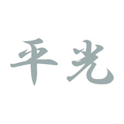 平光 10
