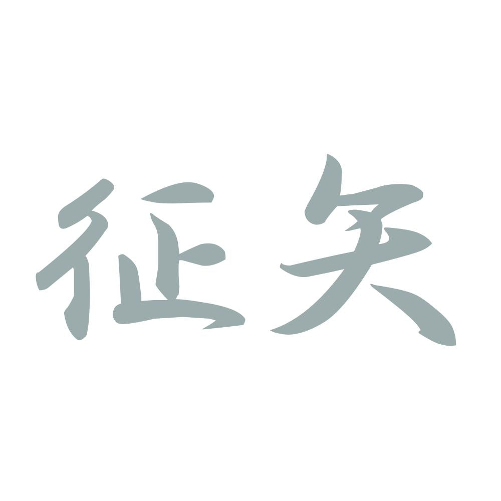 征矢 10