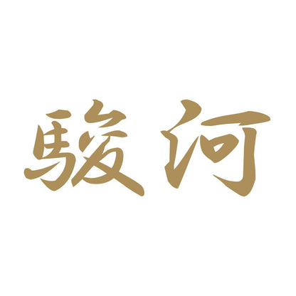 駿河 9