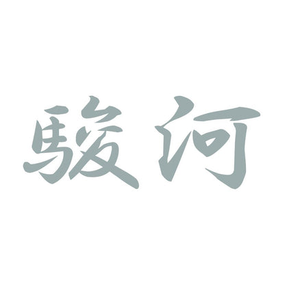 駿河 10