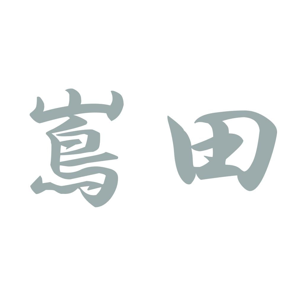 嶌田 10