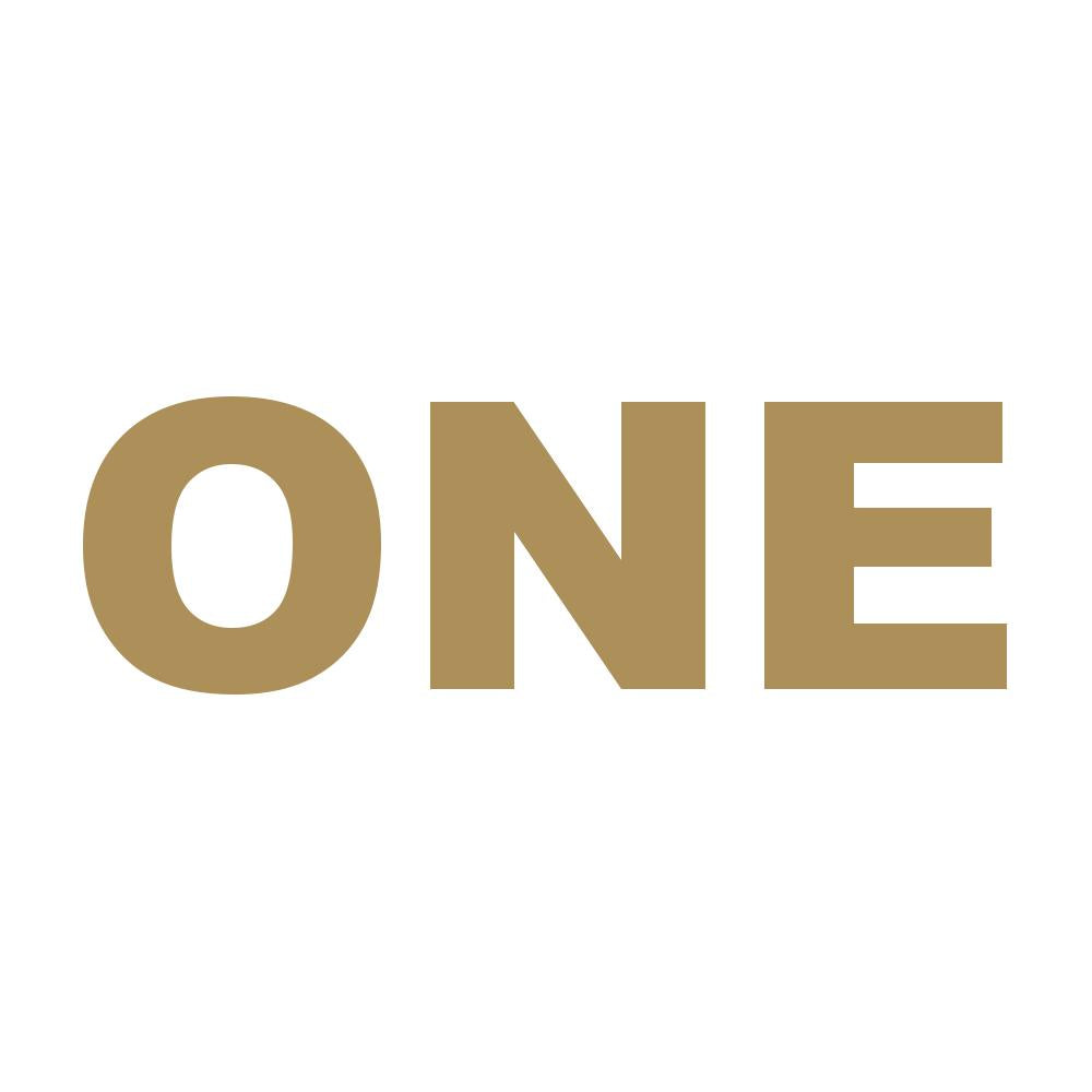 ONE(タイプA) 9