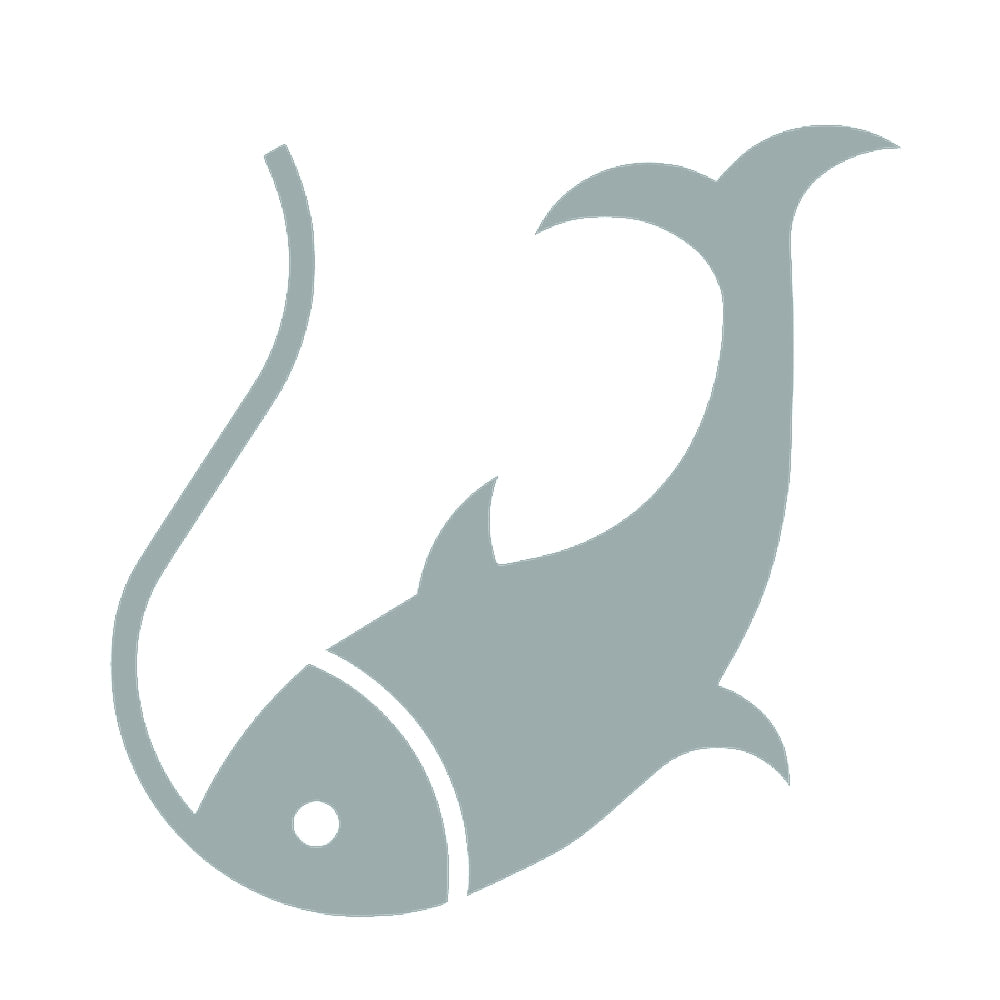 魚(タイプB) 10