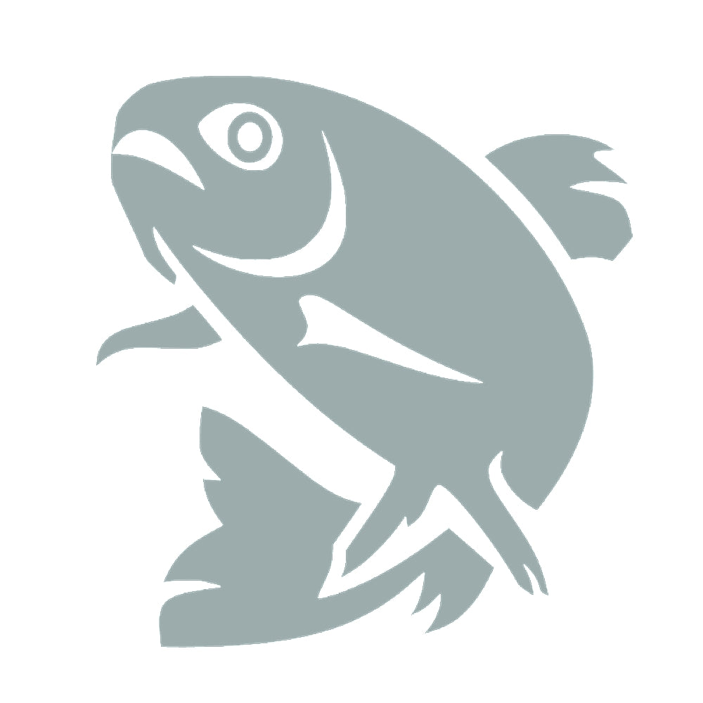 魚(タイプC) 10