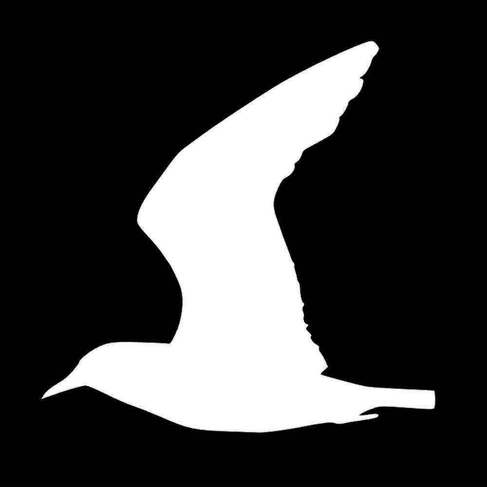 ハト(B) 7