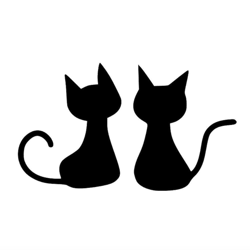 子猫