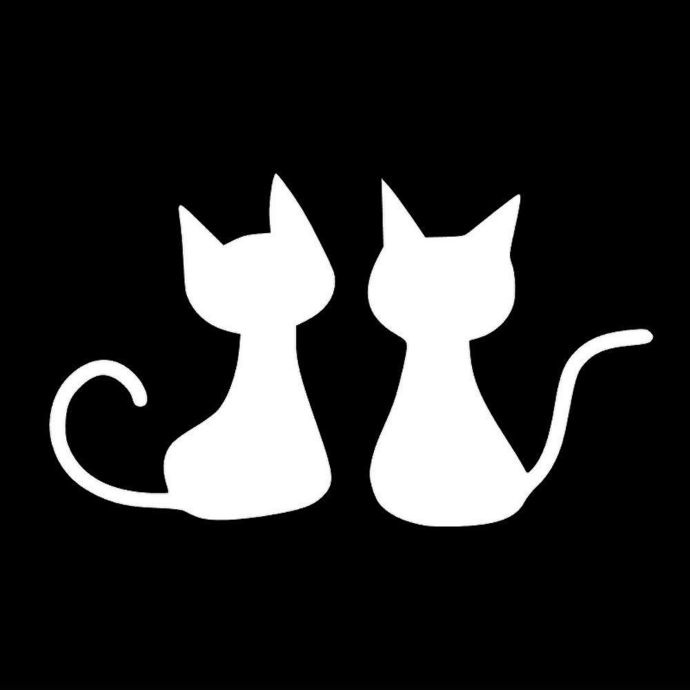 子猫 7