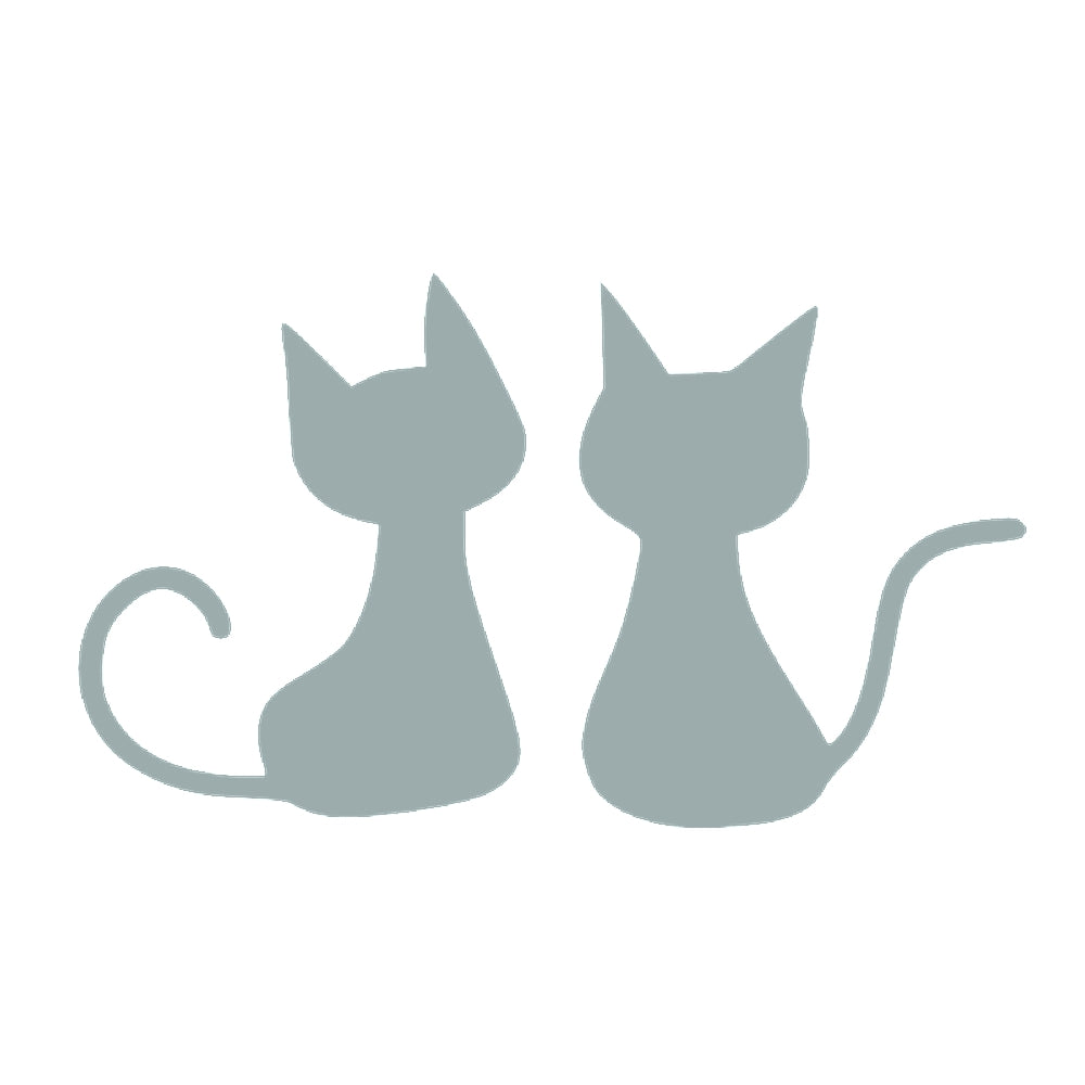 子猫 10