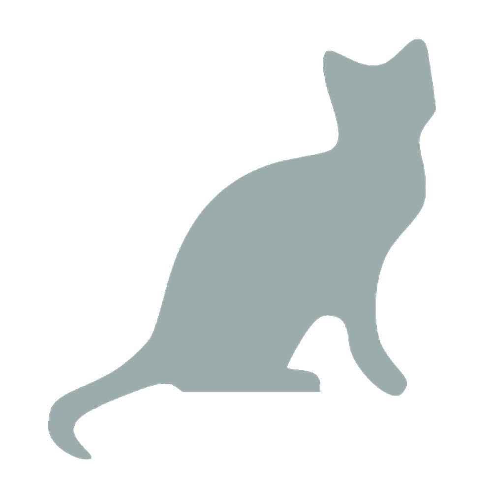 猫 (I) 10