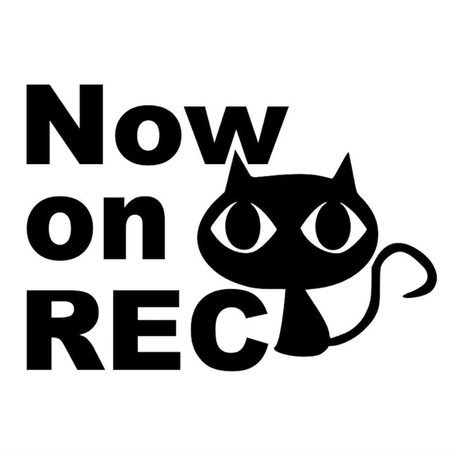 Now on REC猫(A)