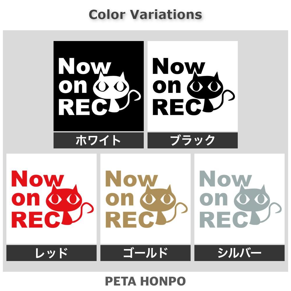 Now on REC猫(A) 2