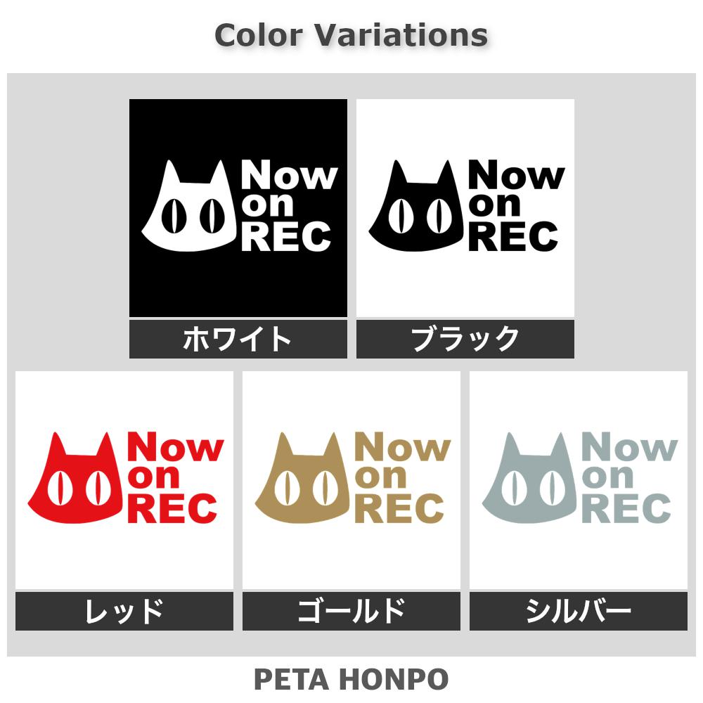 Now on REC猫(B) 2