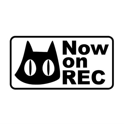 Now on REC猫(C)