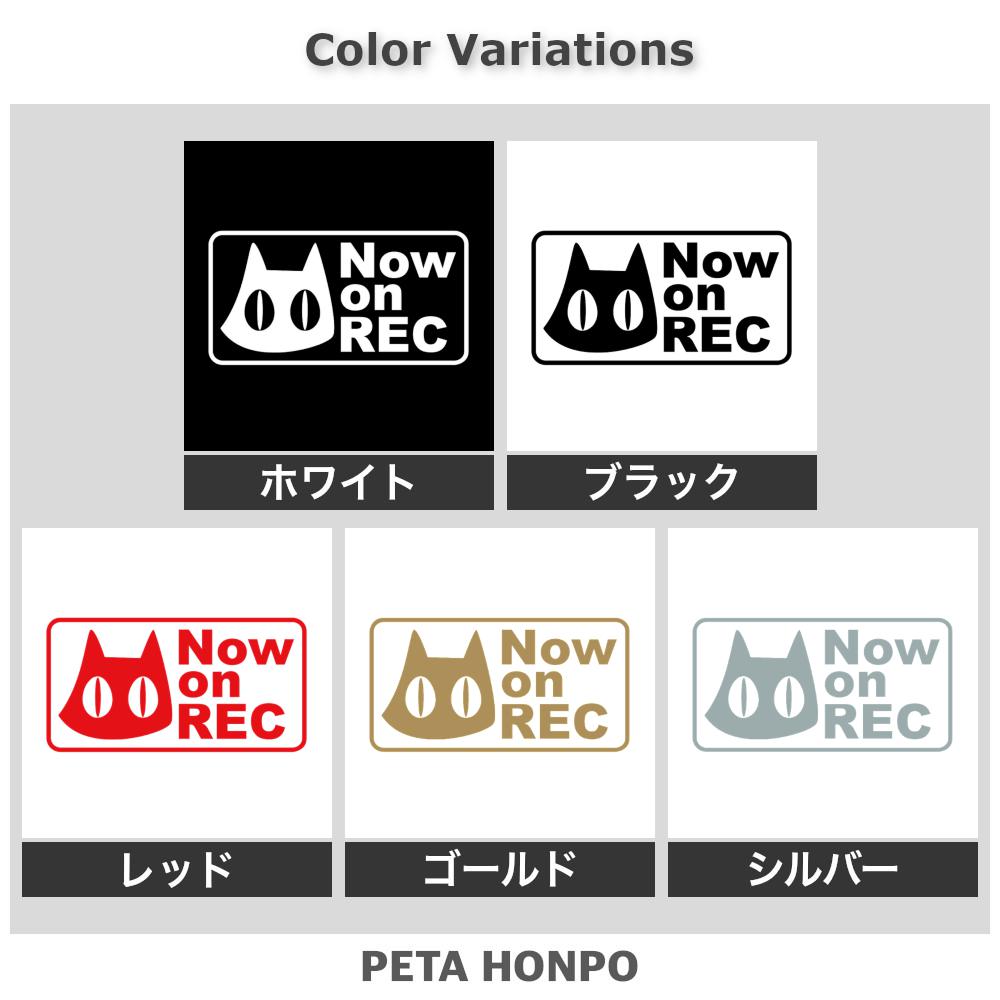 Now on REC猫(C) 2