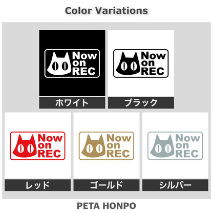 Now on REC猫(C) 2