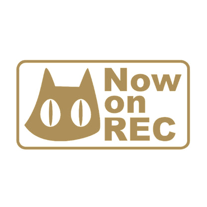 Now on REC猫(C) 9