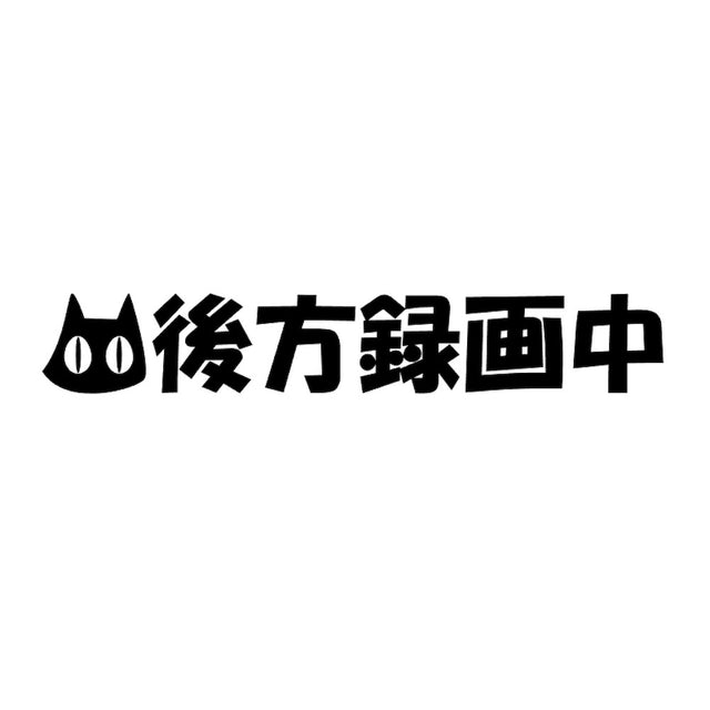 後方録画中猫