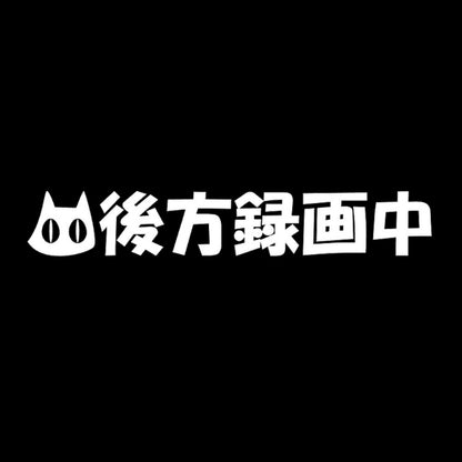 後方録画中猫 7