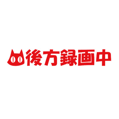 後方録画中猫 8