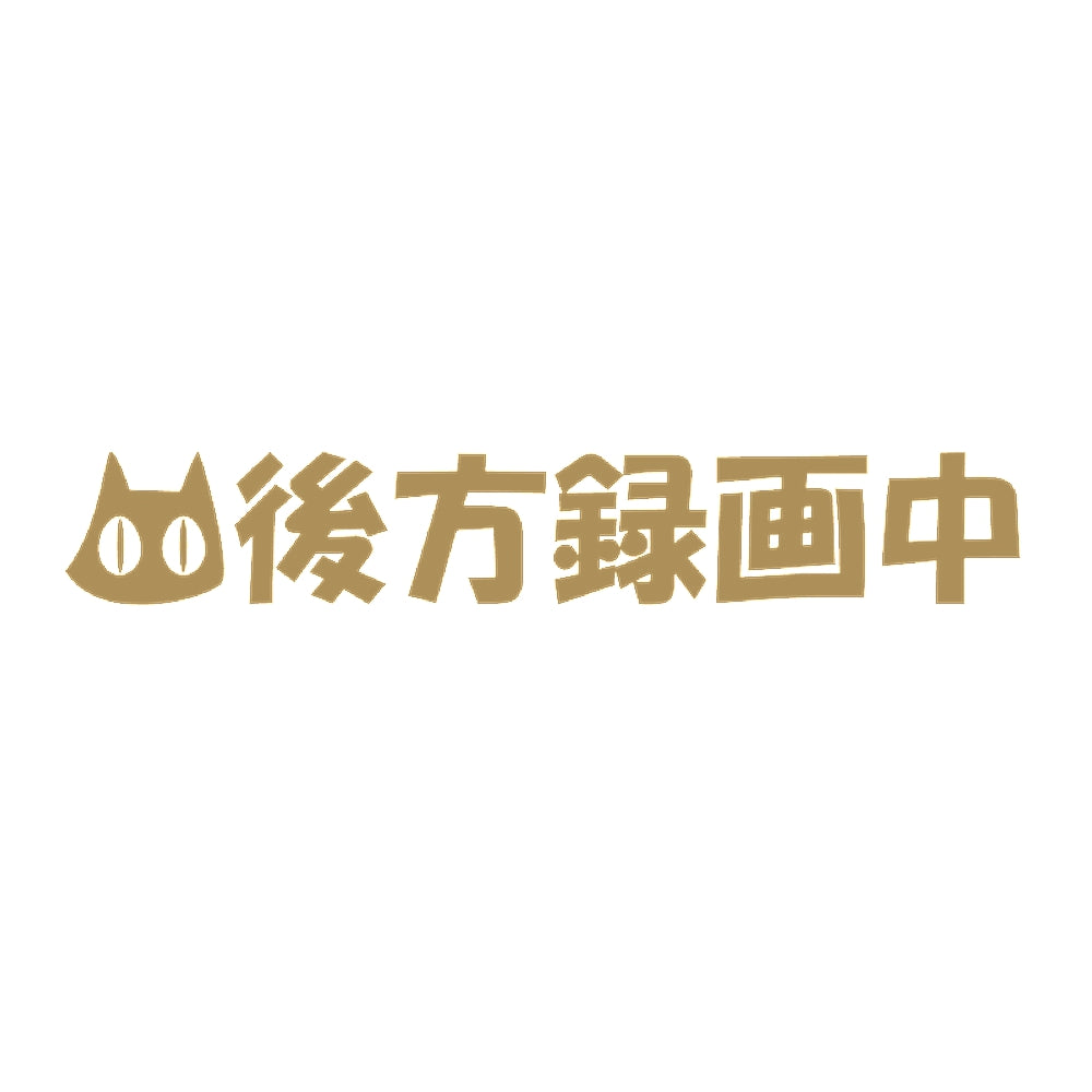 後方録画中猫 9