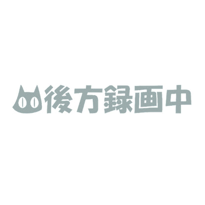 後方録画中猫 10
