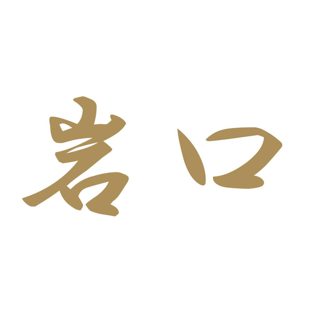岩口 9