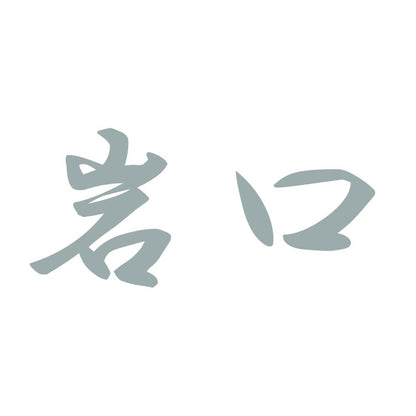 岩口 10