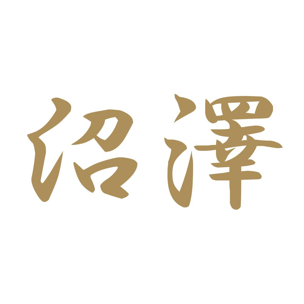 沼澤 9
