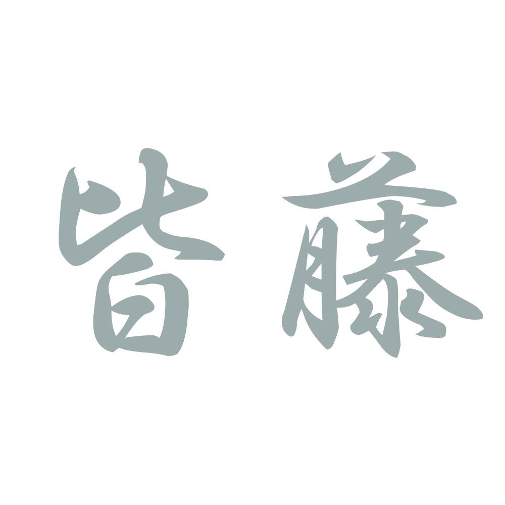 皆藤 10