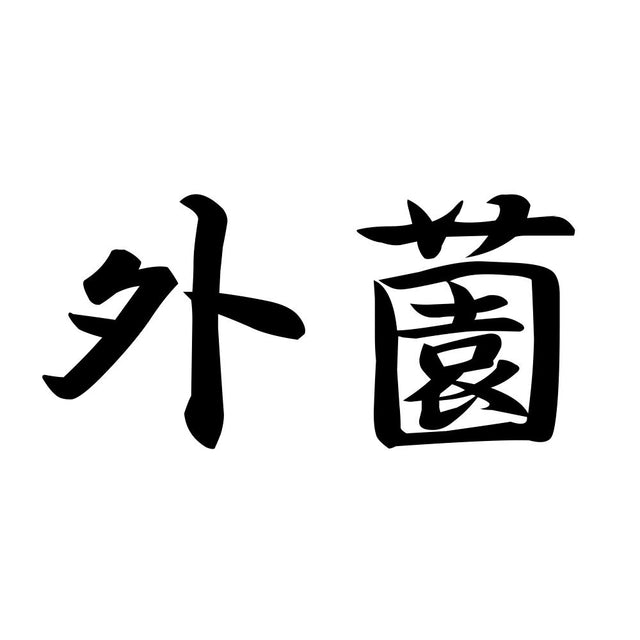 外薗