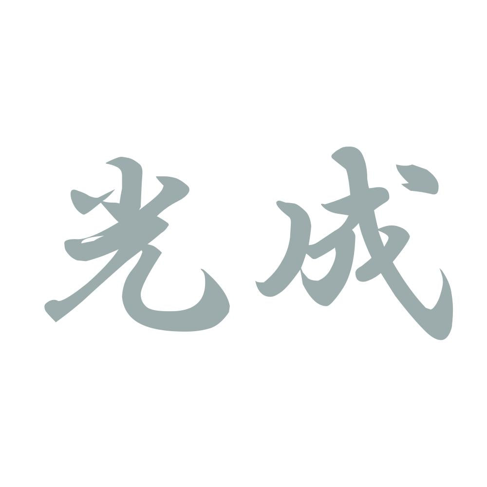 光成 10