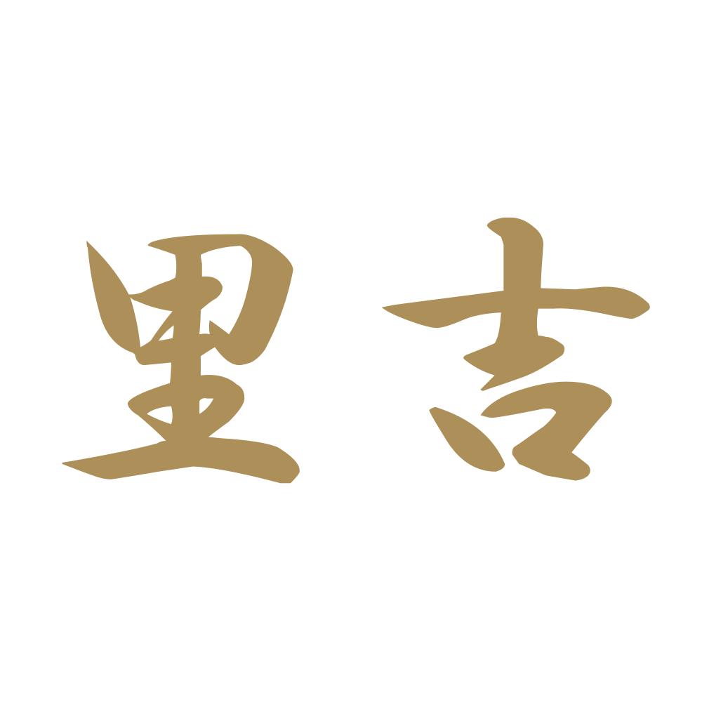 里吉 9