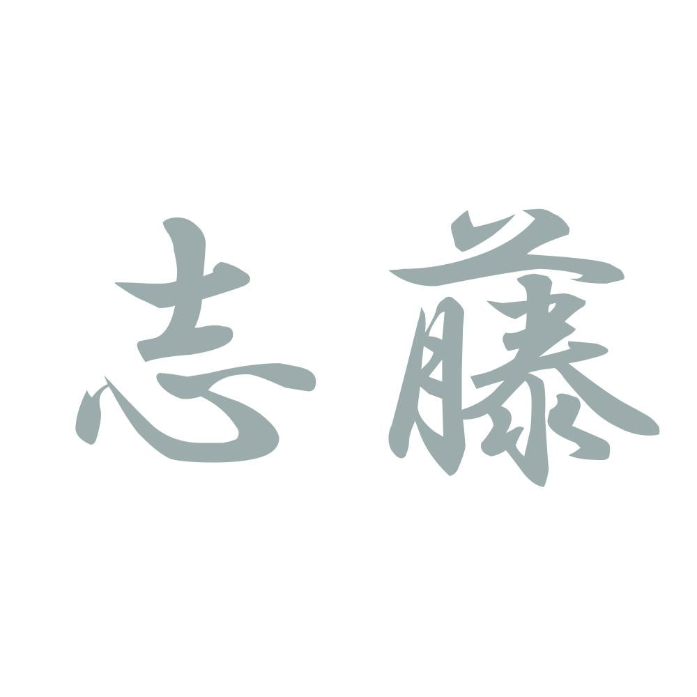 志藤 10