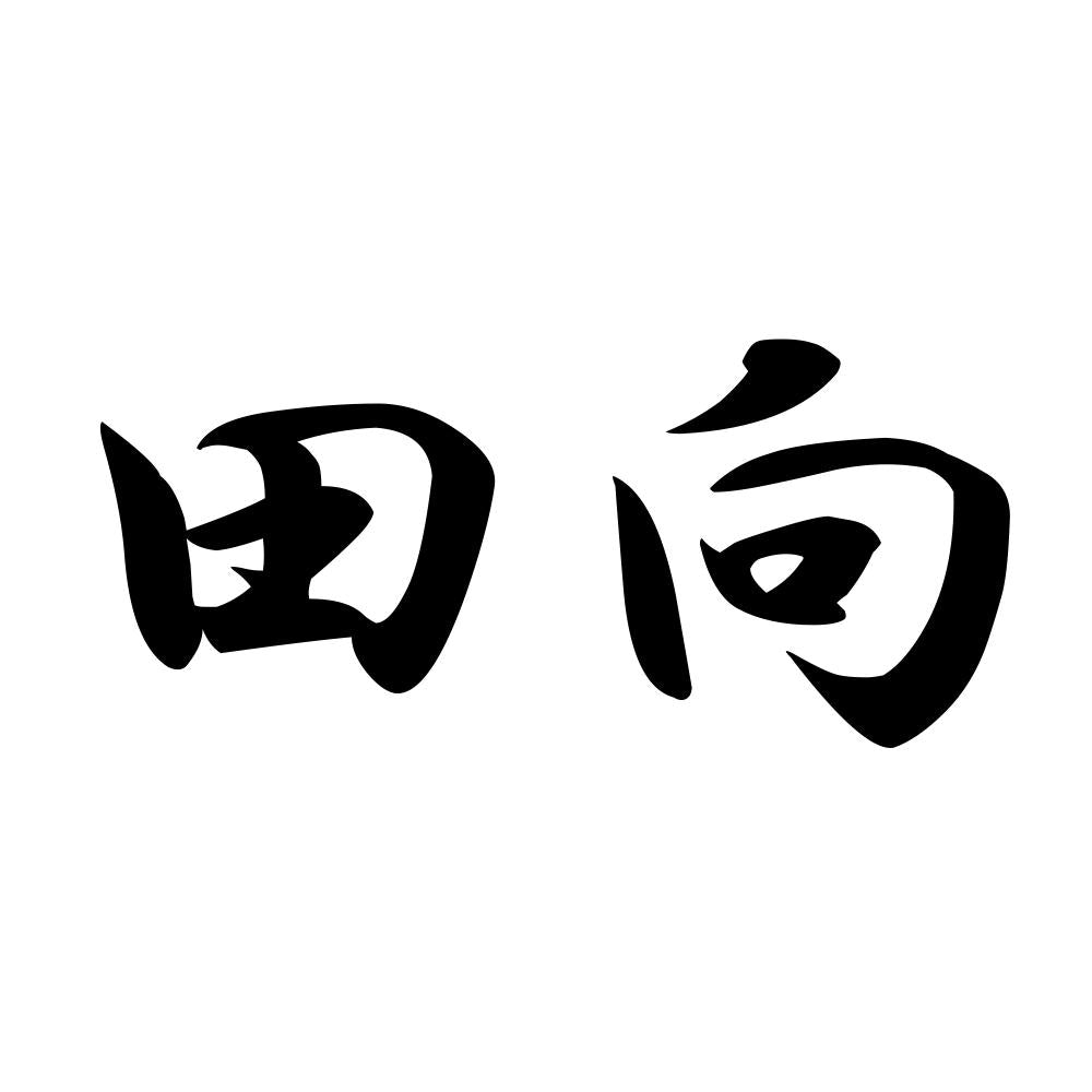 田向