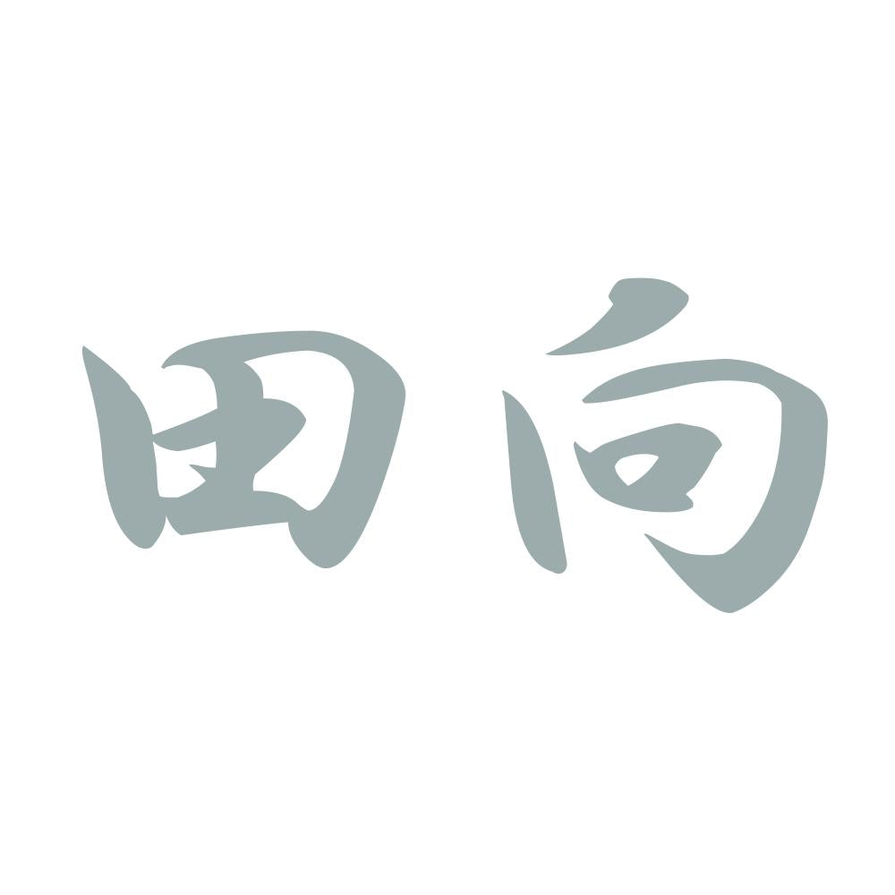 田向 10