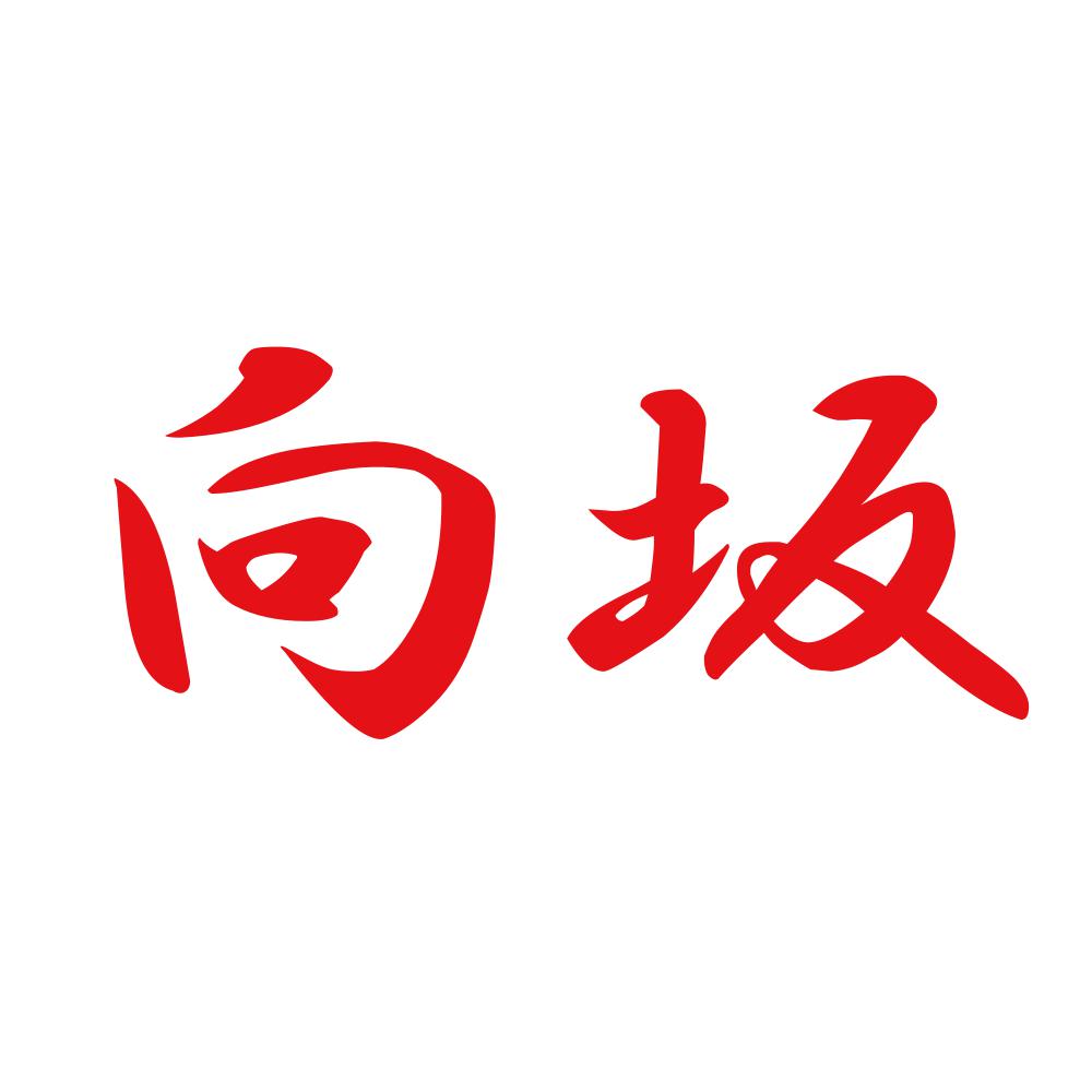 向坂 8