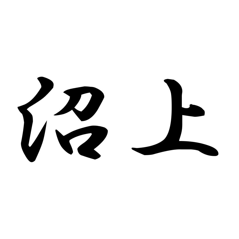 沼上